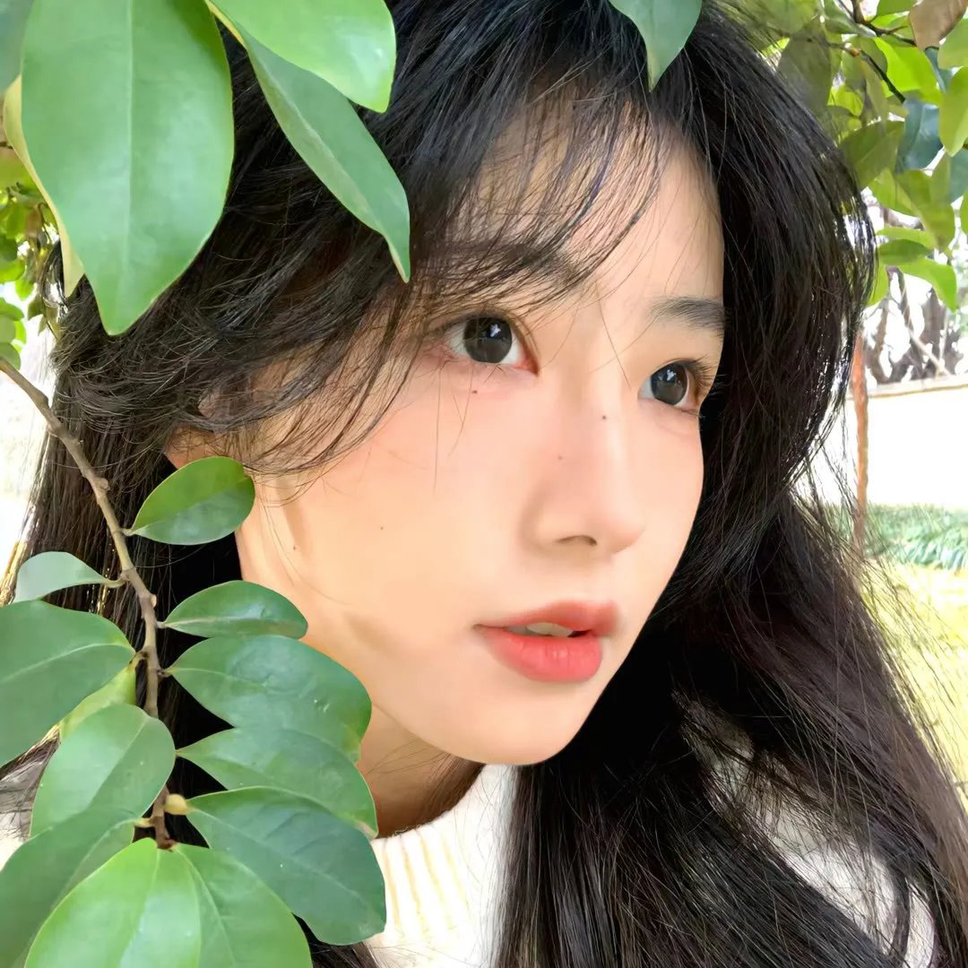 我亲爱的祖国