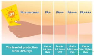 The SPF and PA indices in sunscreen, what are they? How to choose suitable sunscreen