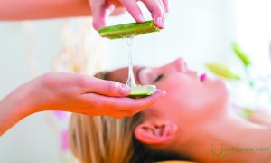 The Wonderful Benefits of Aloe Vera for Beauty and Skin Care