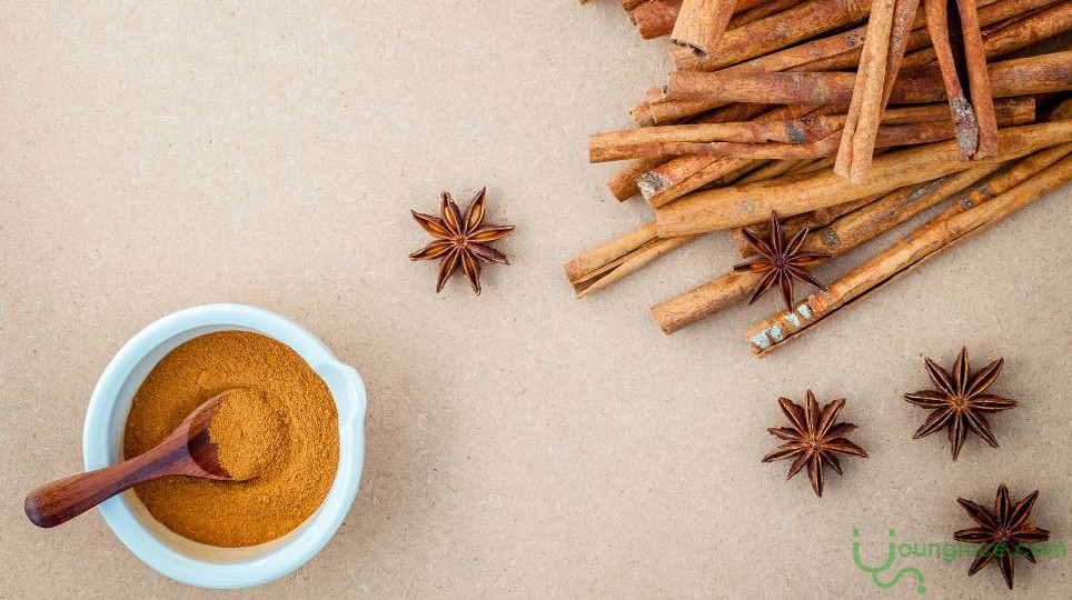 Processing and Uses of Cinnamon